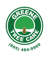 Green Tree Care